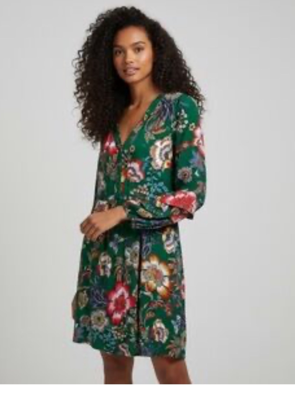 Fig and Flower Anthropologie Green Floral Long-Sleeve V-Neck Dress size Large